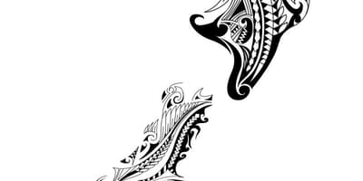 Žemėlapis naujosios zelandijos tatuiruotė